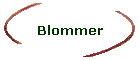 Blommer