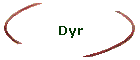 Dyr