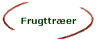 Frugttrer