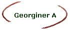 Georginer A