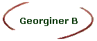 Georginer B