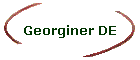 Georginer DE