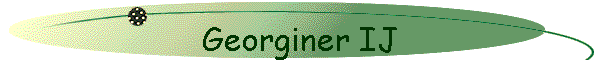 Georginer IJ