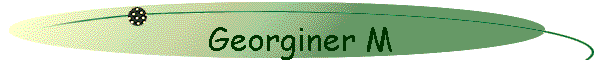 Georginer M