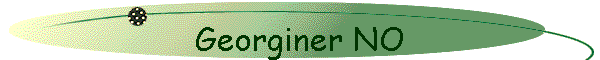 Georginer NO