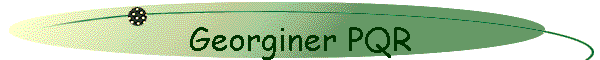 Georginer PQR