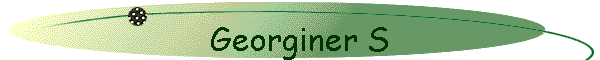 Georginer S