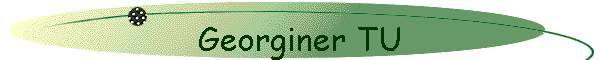 Georginer TU