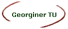 Georginer TU