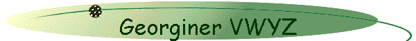 Georginer VWYZ