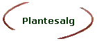 Plantesalg