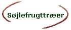 Sjlefrugttrer