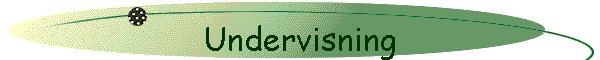 Undervisning