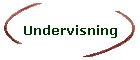 Undervisning