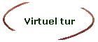 Virtuel tur